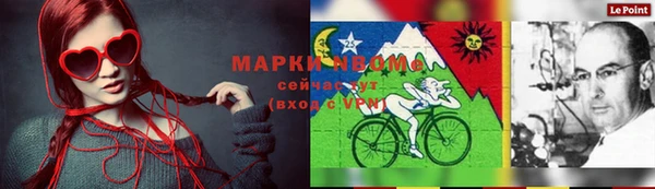 сатива Арсеньев